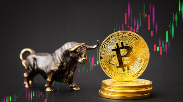 What Is a Crypto Bull Run?